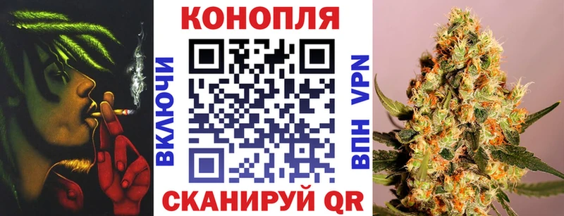 Конопля OG Kush  Сергач 